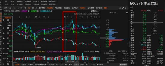 祥源文旅非經(jīng)營性資金占用雖已歸還，但仍被出具警示函！