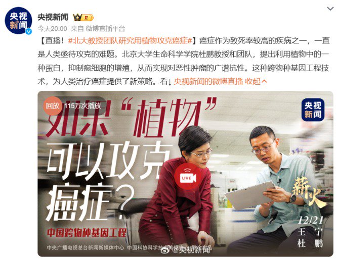 重大突破 央視重點報道！北大教授團隊研究用植物攻克癌癥