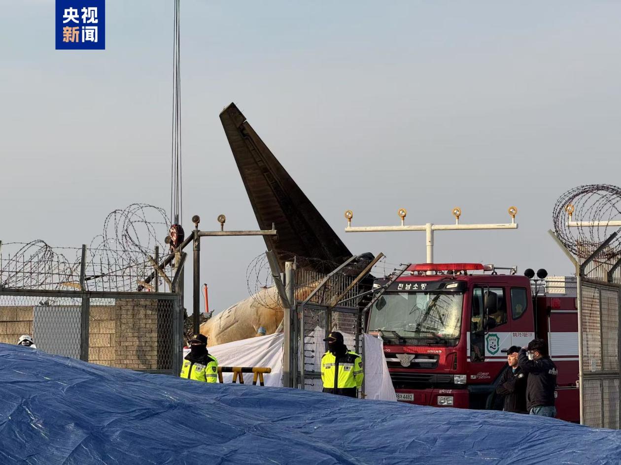 僅2人獲救 韓客機(jī)失事前6分鐘詳情公布 幸存者問：發(fā)生了什么？