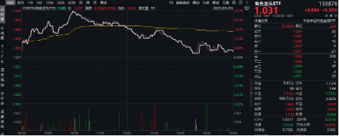 有色蓄勢高飛！有色龍頭ETF（159876）盤中逆市漲超3%！銅、金、鋁攜手上攻，北方銅業(yè)漲停封板