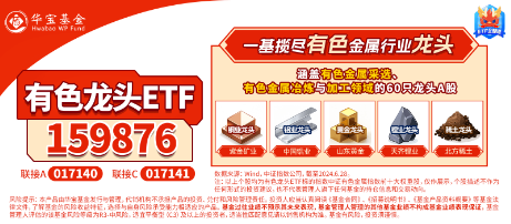 有色蓄勢高飛！有色龍頭ETF（159876）盤中逆市漲超3%！銅、金、鋁攜手上攻，北方銅業(yè)漲停封板