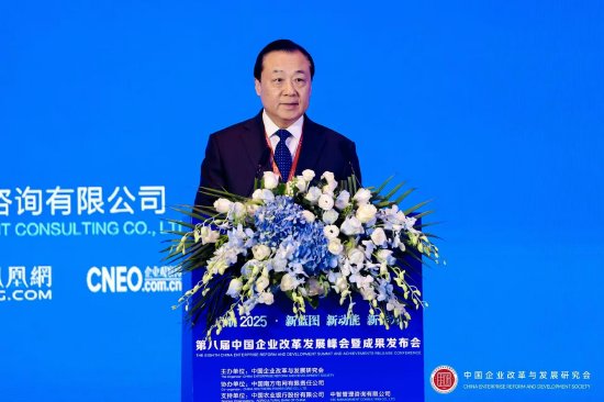 謝正義：江蘇今年將實現(xiàn)財務(wù)監(jiān)督專員制度省屬企業(yè)全覆蓋