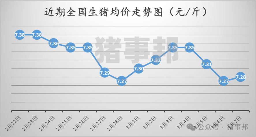 3月7日豬價(jià)匯總(北方稍強(qiáng),南方稍弱!)