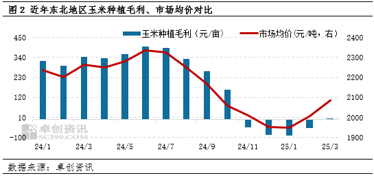 “玉”你同行：一季度東北玉米價(jià)格持續(xù)攀升，新季種植面積如何？